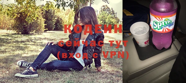 индика Богданович