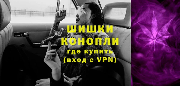 mix Богородицк