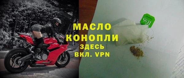 индика Богданович