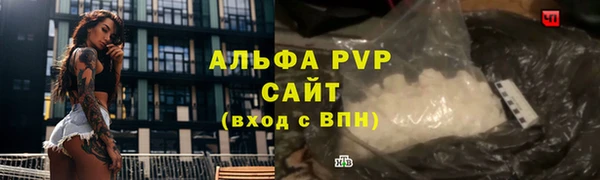 индика Богданович