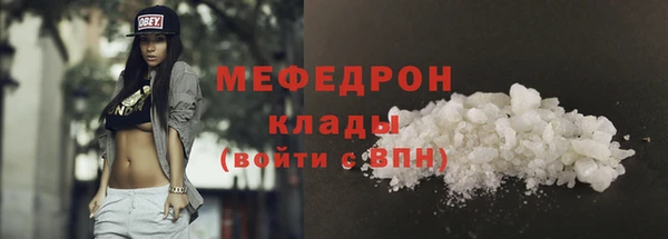 индика Богданович