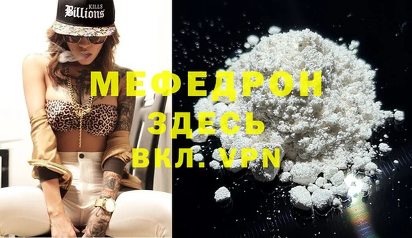 индика Богданович