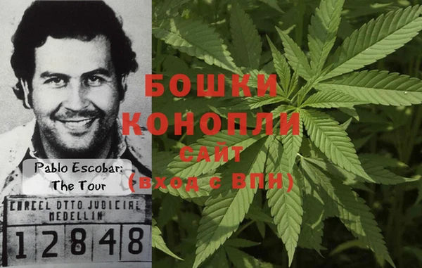 индика Богданович