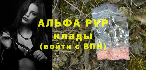 индика Богданович