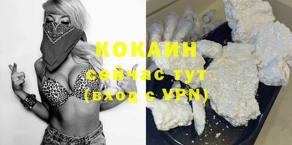 индика Богданович