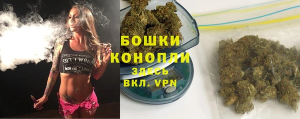 mix Богородицк