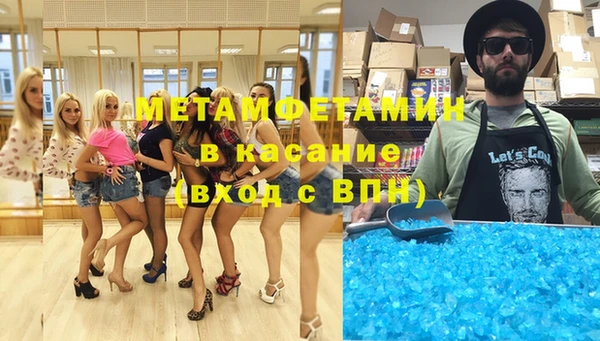 индика Богданович