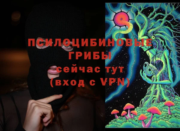 mix Богородицк