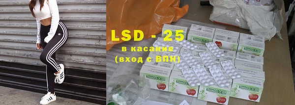 индика Богданович