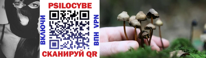 Псилоцибиновые грибы Psilocybine cubensis  Буйнакск 